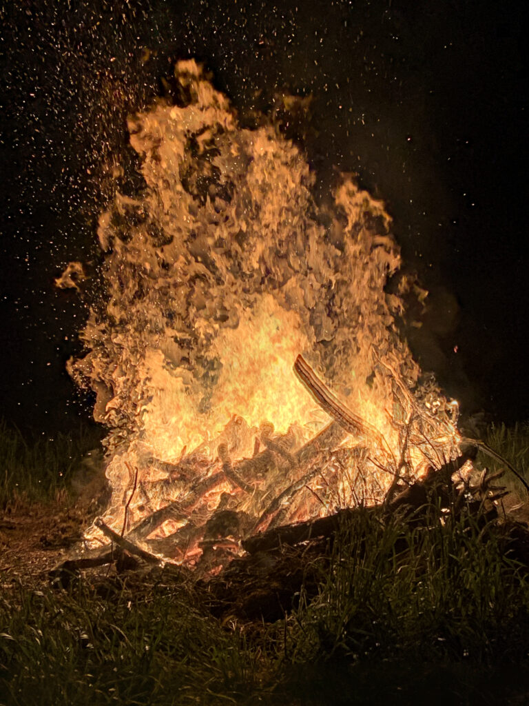 Our little Guy Fawkes fire last night.